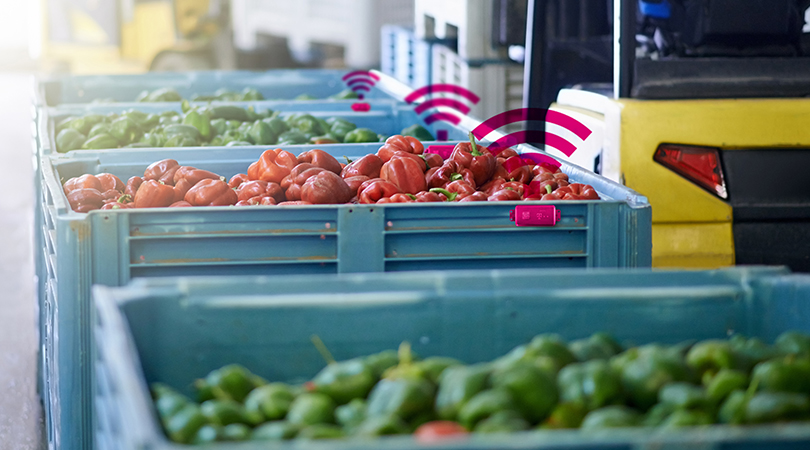 Transport boxes with vegetables are monitored with the help of the Low Cost Tracker