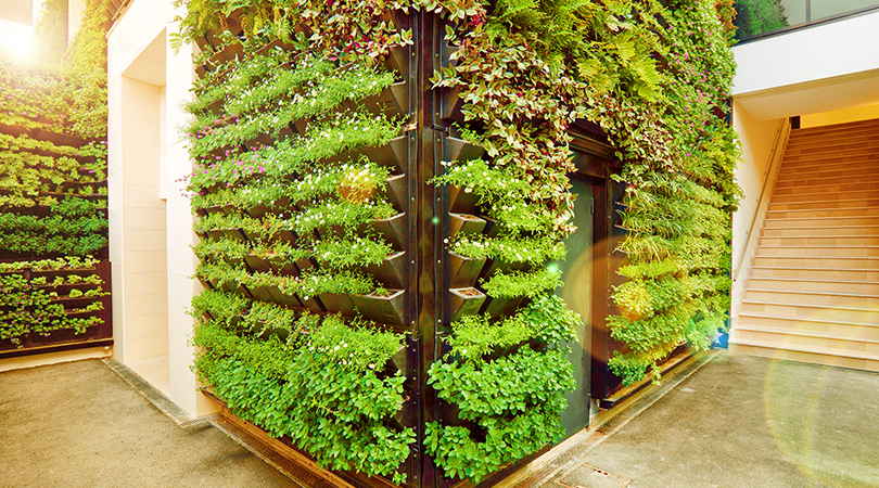 Green wall in a building