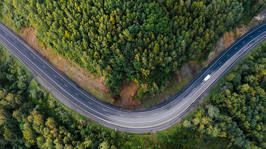 Bird's eye view of country road in forest