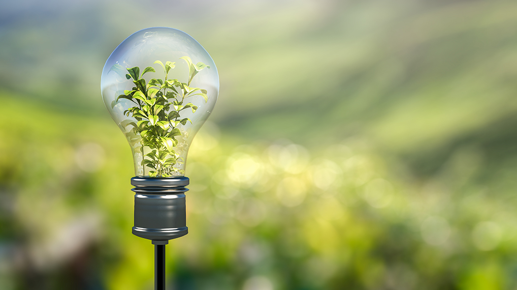 Light bulb with a plant as a filament in front of a green landscape.