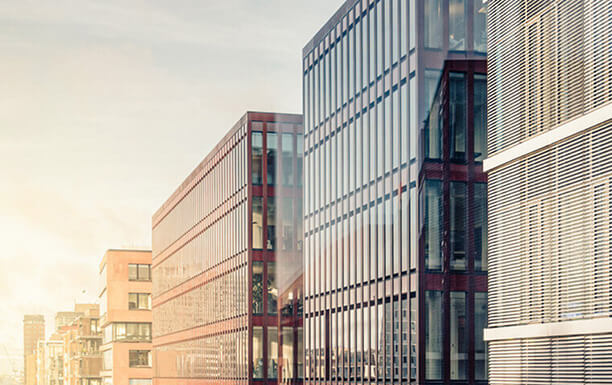 Unterschiedliche Gebäude im hellen Sonnenlicht.