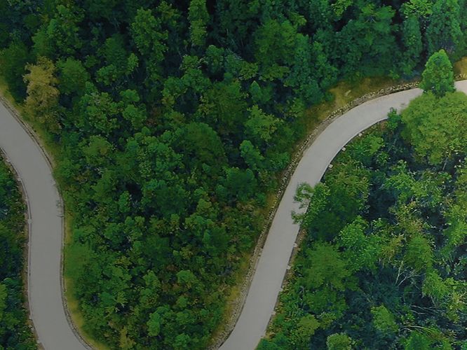 Kurvenreiche Landstraße im Wald aus der Vogelperspektive