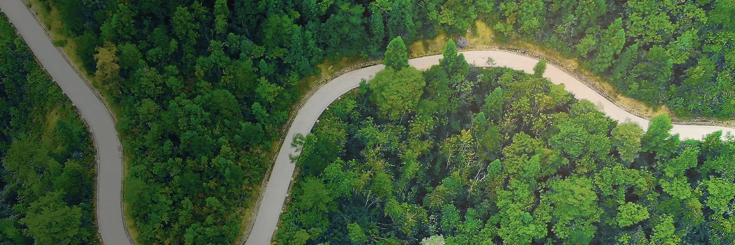 Curvy country road in forest from bird's eye view