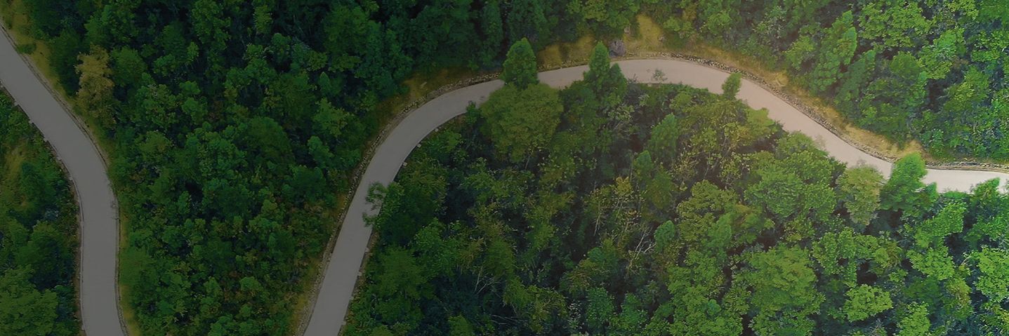 Curvy country road in forest from bird's eye view