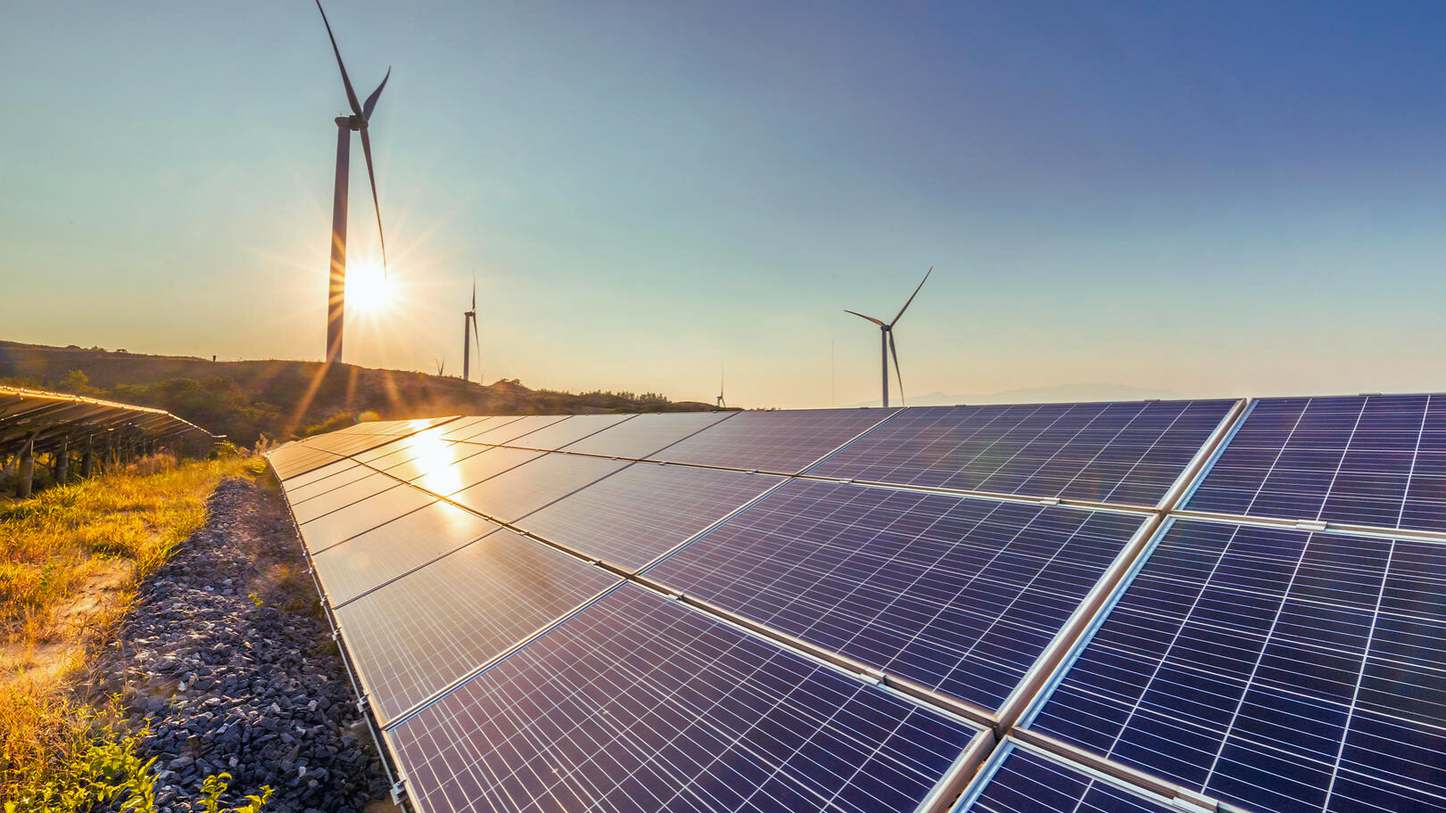 Solarmodule in einem Feld, das die Sonne reflektiert, mit Windrädern im Hintergrund.