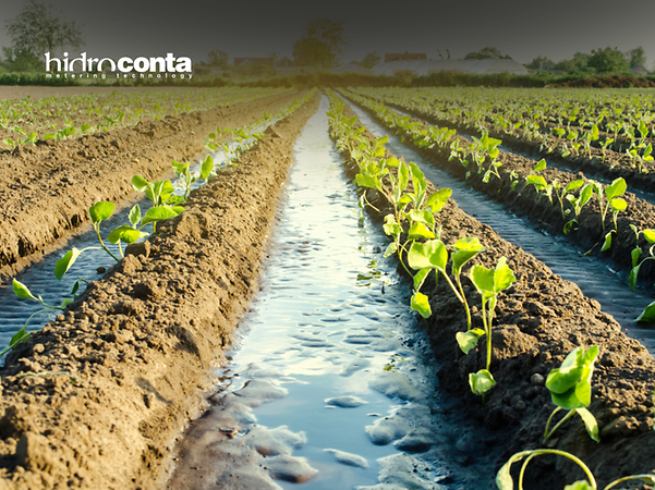 Logo von Hidroconta vor einem bewässerten Feld