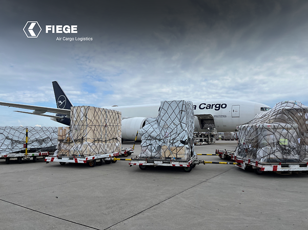 Logo von Fiege vor Luftfracht mit Flugzeug im Hintergrund