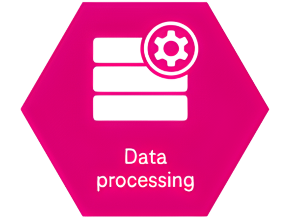 An icon in a pink hexagon shows stacked data with a cogwheel – data processing.
