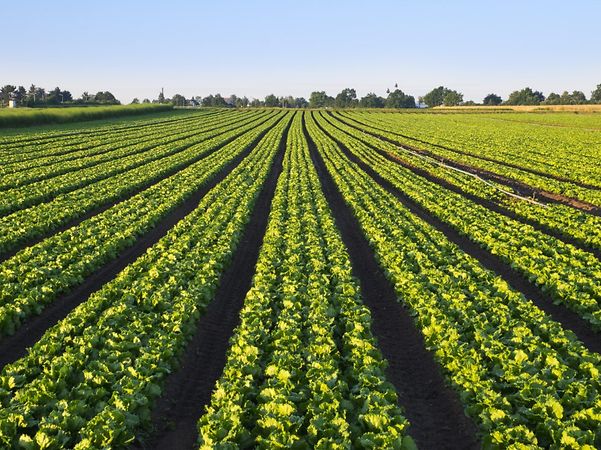 eb3565c5-f9a5-442c-8243-5d34097e450a