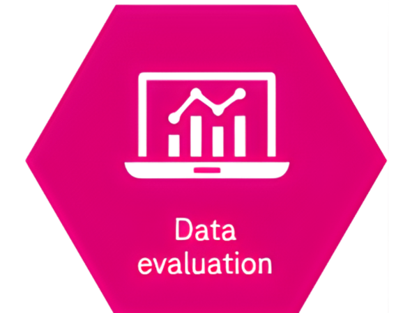 An icon in a pink hexagon shows a laptop with a line graph – data evaluation.