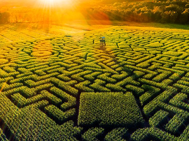 Green labyrinth from bird's eye view