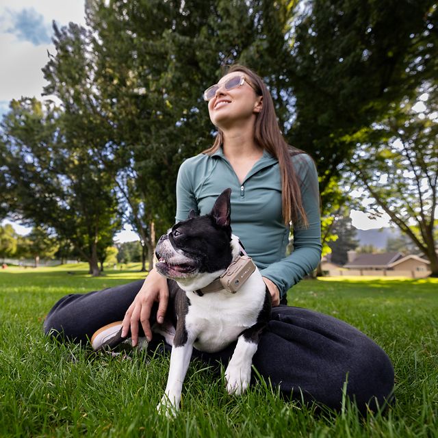 A woman is sitting on the grass, stroking her dog, which is wearing a collar.