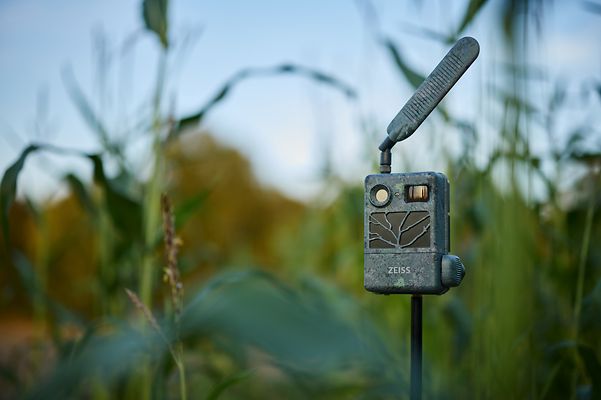 Zeiss Secacam i naturen