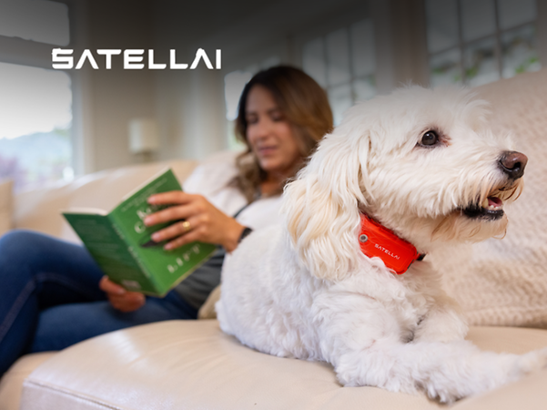 Satellai-logotypen