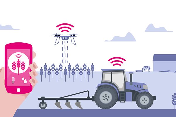 Stilisierte Grafik, die verschiedene IoT-Endgeräte in landwirtschaftlicher Umgebung darstellt.