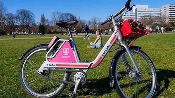 Ein E-Bike steht auf einer Wiese