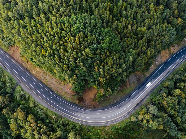 Drohnenaufnahme einer kurvigen Strecke im Wald mit viel Grün