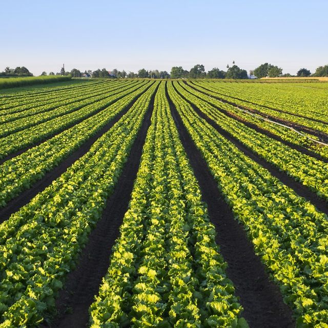 eb3565c5-f9a5-442c-8243-5d34097e450a